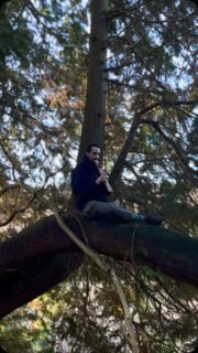 There is just something very special about playing on top of an old juniper like this. There is no better chorus than the chirping of the birds and the cracking branches of the forest 🌱

Flute in G minor pentatonic. Olive and purple heart. 

#soundhealing#flutemusic#forest#resonance#mystic